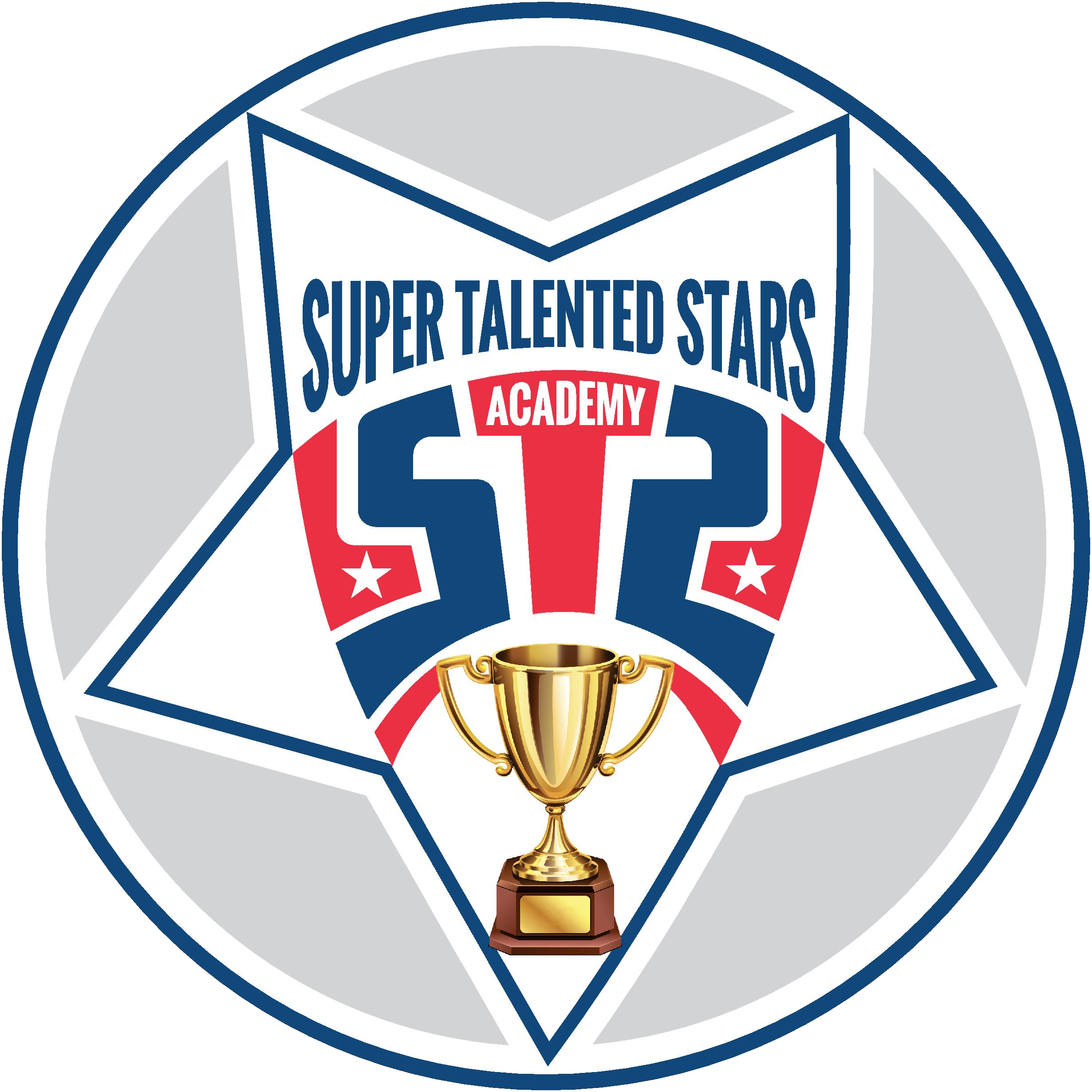 sts logo