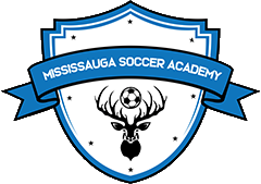 MISSISSAUGASOCCERACADEMY MISSISSAUGASOCCERACADEMY